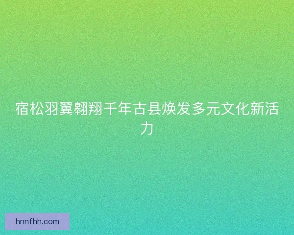 宿松羽翼翱翔千年古县焕发多元文化新活力
